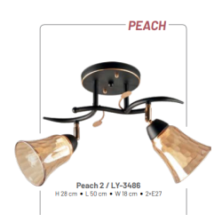 Peach 3 / LY-3487
