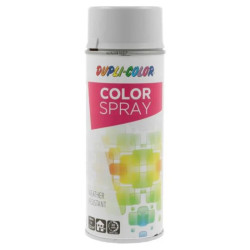 Spray vopsea Color Spray,...