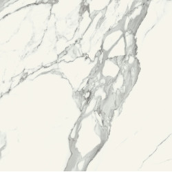 Gresie Carrara Pol, 80x80, alb